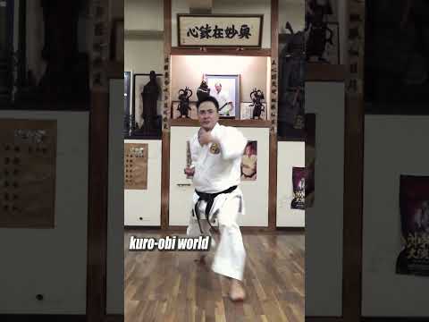 Powerful Kata Of Okinawa Gojyu-ryu Karate - YouTube