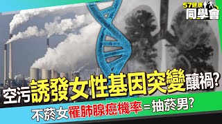 【精選】台灣空污嚴重「女性基因突變」恐誘發肺腺癌！？ 醫警告「出現8大症狀」要注意：早期常誤認感冒！ @57healthy