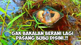 Bubu saya dapat ular semua..!!Mengerikan gak bakalan berani pasang bubu di sini lagi