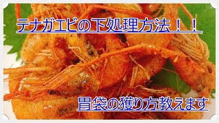 【テナガエビ料理】下処理方法教えます！！