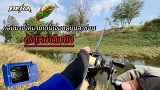 กลับมาซ้ำหมายเดิมเจอหลุมปลาช่อน ประเดิมถังใหม่ กบยางเมฆา!! #ตกปลาช่อน #fishing