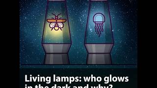 Living lamps: who glows in the dark and why? (Bioluminescence)