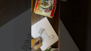 How to draw a cock easily (step by step)@CraftyNM