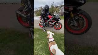 My biggest and possibly only fan 😆 #pitbull #bestfriend #aprilia #apriliaracing #nationalchampion