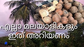 നിങ്ങൾ  ഉപയോഗിക്കുന്ന ഈ എണ്ണ ഉണ്ടാക്കുന്നത് ഇങ്ങനെയാണ് / COCONUT OIL MAKING PROCESS #cocconutoil