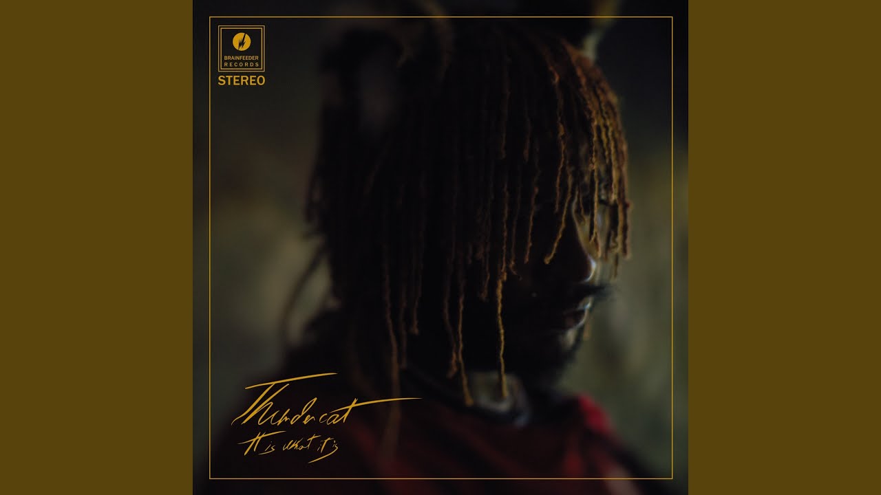 Funny Thing Thundercat Song Lyrics Music Videos Concerts