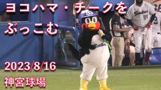 つば九郎、近藤真彦さんのヨコハマ・チークを東京音頭にぶっこむ 2023/8/16