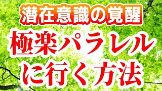 極楽パラレルに行く方法[潜在意識 覚醒 統合 方法 ブロック解除 書き換え方 引き寄せの法則 ハイヤーセルフ 波動 スピリチュアル スターシード パラレルワールド 魂 アセンション 天国 悟り 超意識