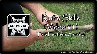 Knife Skills (Video 1)
