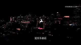 留住這一刻 - 劉小慧（C.L. Cover)