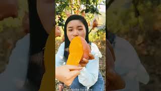 মিষ্টি পাকা আম 🥭🥭 বাগান থেকে আমের ফল সংগ্রহ  #shorts #mango #youtubeshorts #satisfying#mango #food