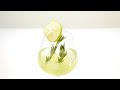 how to make cactus cocktail