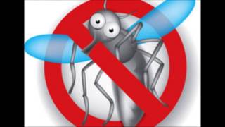 רעש יתוש מתגבר Increased mosquito noise