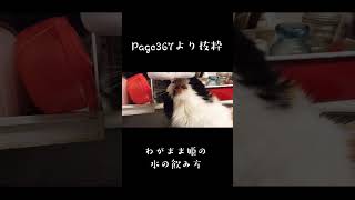 ただうちの姫様の変な水の飲み方を捉えた動画 #shorts  #ショート動画 #家族 #ねこ #猫 #ネコ #cat  #カワイイ #可愛い #水 #飲み方 #変な #水飲み #切り抜き