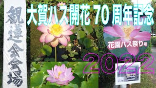 ここが大賀ハス発祥の地だ！幻の花園ハスまつり観蓮会に来て驚いた！ここに秘宝は眠っていた。花園・検見川の地元民として誇らしい。ボランティアの皆さん本当に有難うございます。これからも応援します。