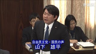 参議院 2019年11月21日 法務委員会 #02 山下雄平（自由民主党・国民の声）