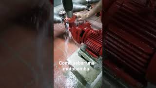 como cebar una motobomba