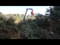 heathland restoration with lightweight malwa 560c forwarder with felling head