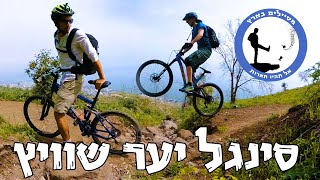 סינגל יער שוויץ - מטיילים בארץ