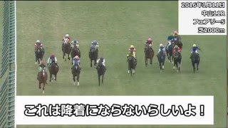 2016年4月騎乗停止事象まとめ