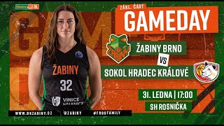 Chance ŽBL: Žabiny Brno - Sokol Hradec Králové, 31.1.2025