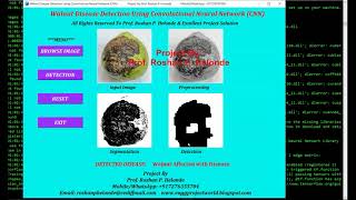 Python OpenCV Keras Project on Walnut Disease Detection Using CNN | with Source Code