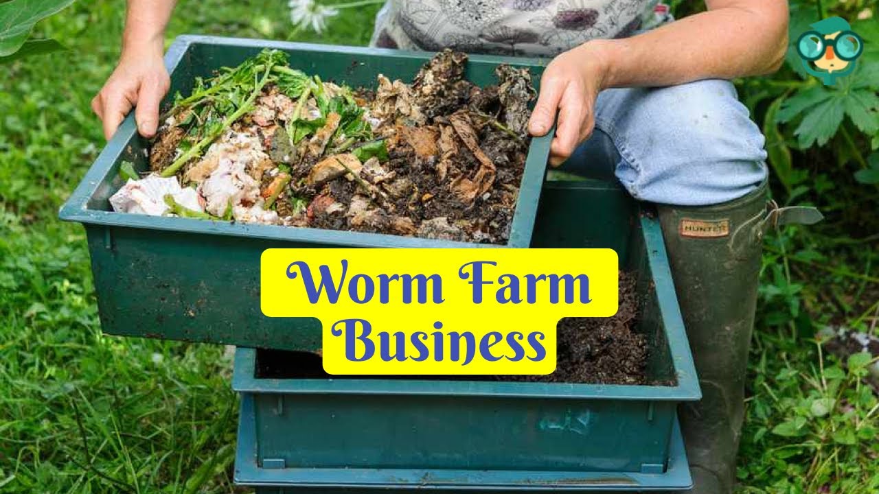 How To Start A Worm Farm For Profit? How To Start A Worm Farm At Home ...