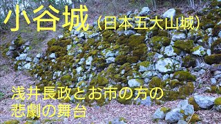 ⑬小谷城（おだにじょう）【44歳独身の黙々とひとり旅滋賀編】日本五大山城　日本100名城　浅井長政の居城（滋賀県長浜市）Odani Castle