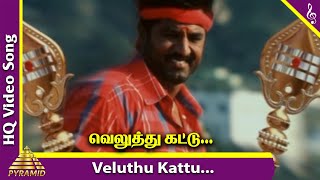 Veluthu Kattu Video Song | Aai Movie Songs | Sarathkumar | Namitha | Srikanth Deva | Pyramid Music