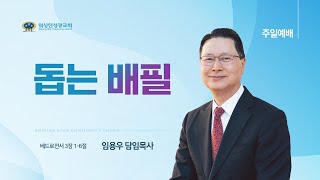 [워싱턴성광교회] 돕는 배필 (베드로전서 3장 1-6절) 5/12/2024