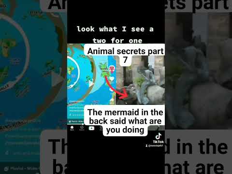 Tik Tok Video Mermaid Caught On Camera #nonstopentertainment # ...