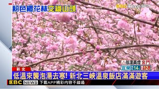 粉色美景超夢幻！ 新北三峽秘境「千棵櫻花綻放」 @newsebc