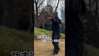 功夫迷宮(カンフーめいきゅう)形意五行連環拳の前半路にて勁を練る#kungfu #形意拳 #アラカン女子 #中国武術 #太極縁