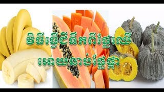 Cambodian agriculture - ជីទឹកផ្លែឈេី