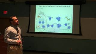 S20 Path Inflammation 1of2