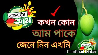 রাজশাহীতে কখন কোন আম পাকে? রাজশাহীর আম