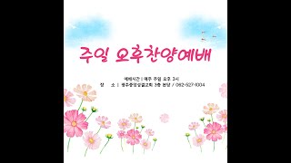 베드로전서 2장 강해 / 20241111 / 새벽예배