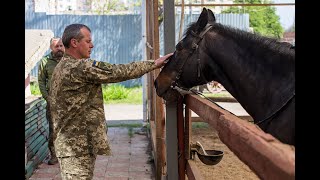 Іпотерапія для військових в Одесі