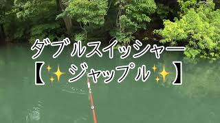 【トップウォーター】【ジャップル】使って野池でバス釣り‪🎣‬  #トップウォーター #ヨツバルアーズ #ジャップル #ダブルスイッシャー