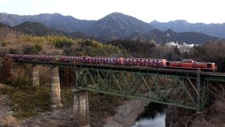 さよなら紀勢本線貨物列車 DD51国鉄色牽引 【Class DD51 freight train】