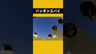 カメラ: もう止めないとボスになってしまう