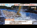 豚熱ワクチン接種　福岡・佐賀ではじまる