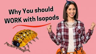 Isopods-  Why Should You Keep Them