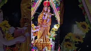 പരിശുദ്ധ അമ്മയോടൊപ്പം | Velankanni Festival 2024