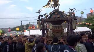 藤沢川名御霊神社例大祭神輿渡御20230910