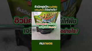 ฮิวมิค + ฟูลวิค ช่วยให้พืชเจริญเติบโตได้อย่างไร? #ฅนเกษตร #ฮิวมิค #ฟูลวิค