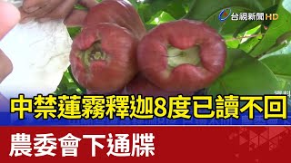 中國禁蓮霧釋迦8度已讀不回 農委會下通牒