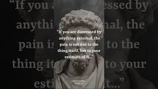 Marcus Aurelius speaks on MENTALITY #quotes