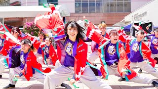 [4K] 長崎大学「突風」　かごしま春祭大ハンヤ2024 1日目　東口会場 (中央)