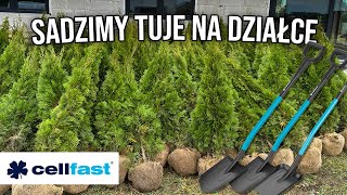 Jak sadzić tuje Szmaragd? | Praktyczny poradnik + test szpadli Cellfast